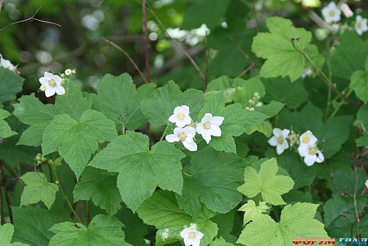 куда поехать отдыхать