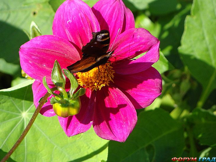 куда поехать отдыхать