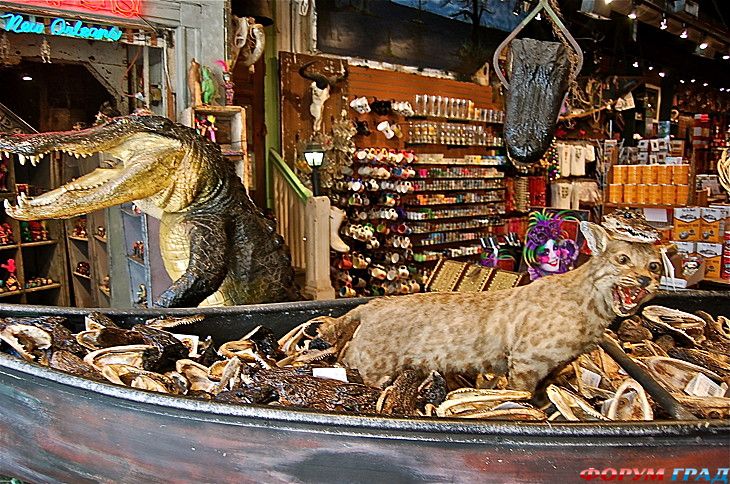 куда поехать отдыхать