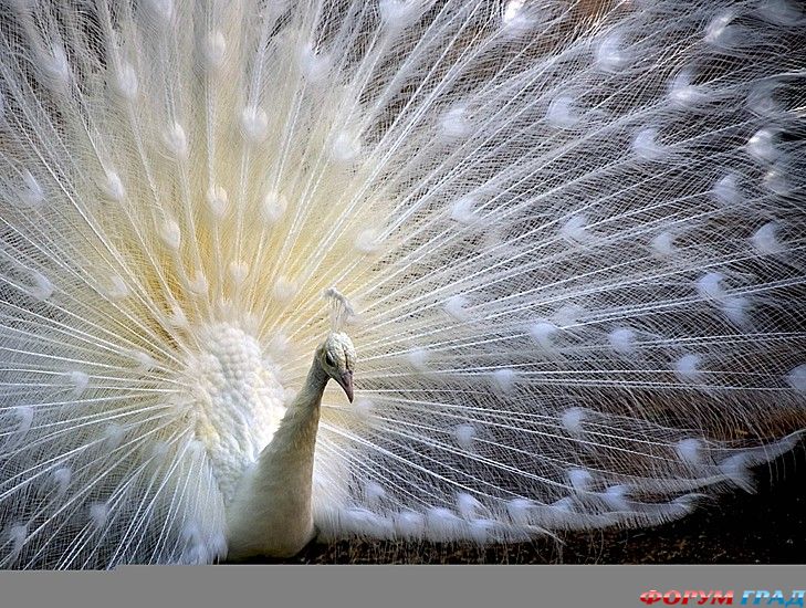 куда поехать отдыхать