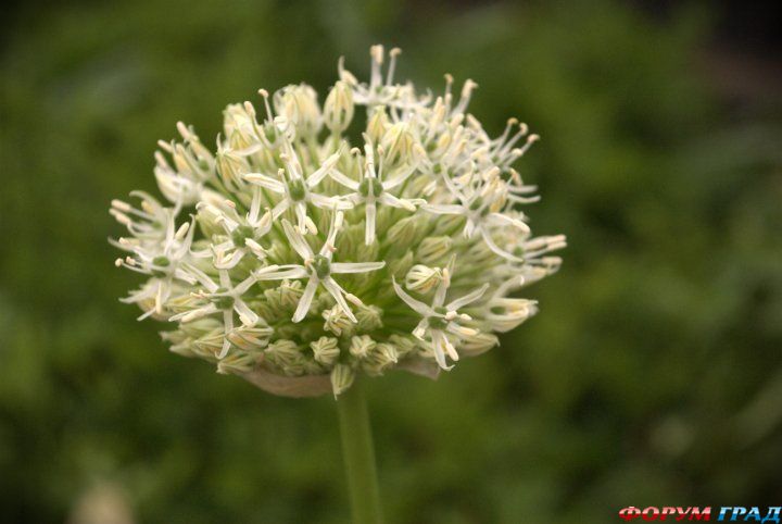 куда поехать отдыхать