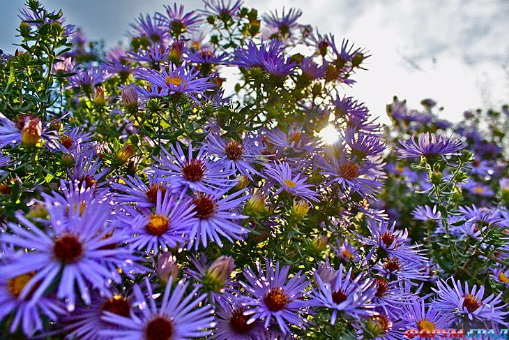 куда поехать отдыхать