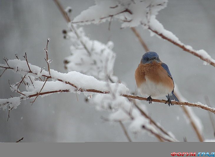 куда поехать отдыхать