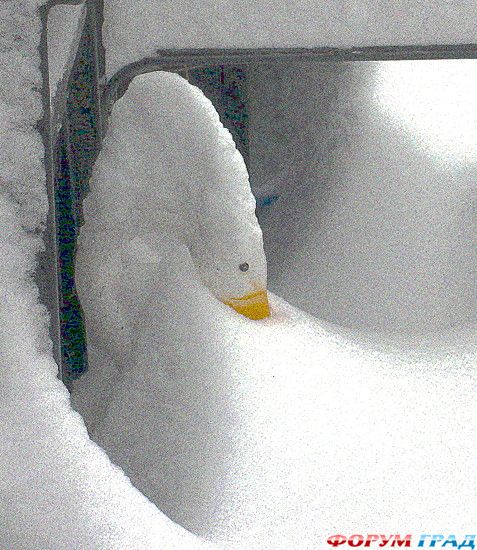 куда поехать отдыхать