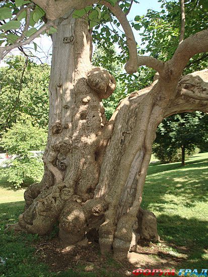 куда поехать отдыхать