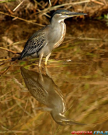 куда поехать отдыхать