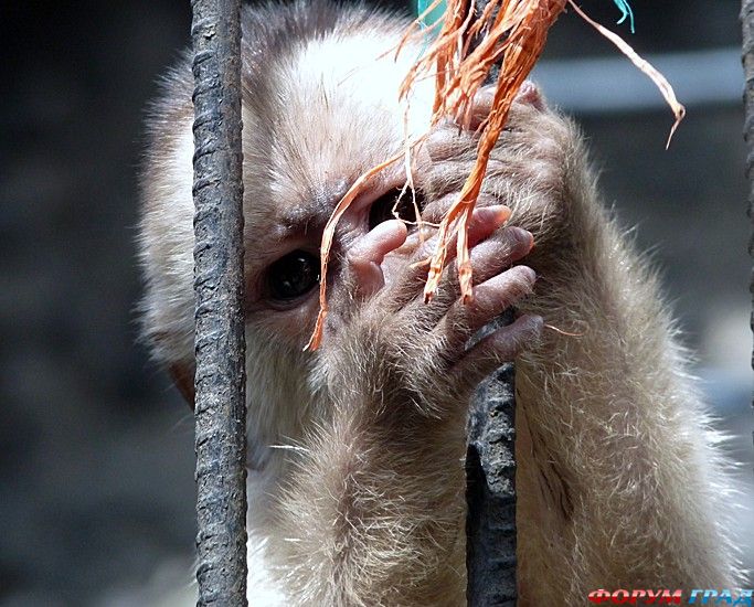 куда поехать отдыхать