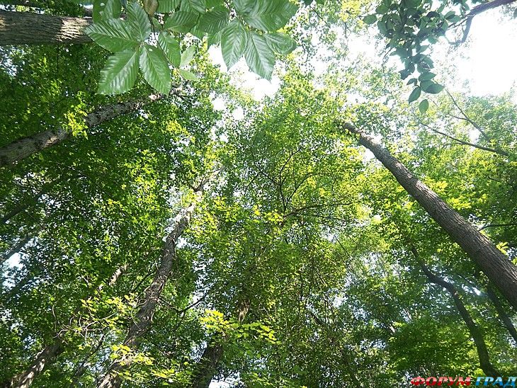 куда поехать отдыхать