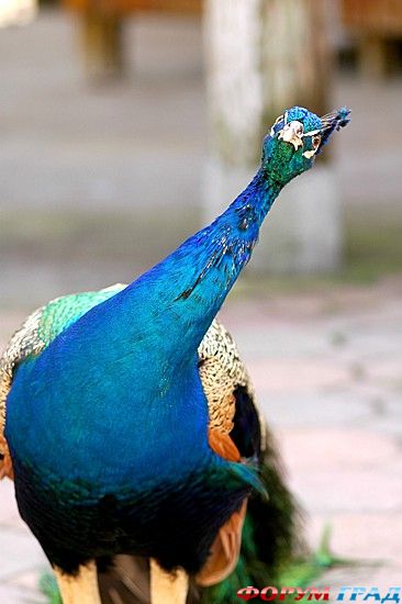 куда поехать отдыхать