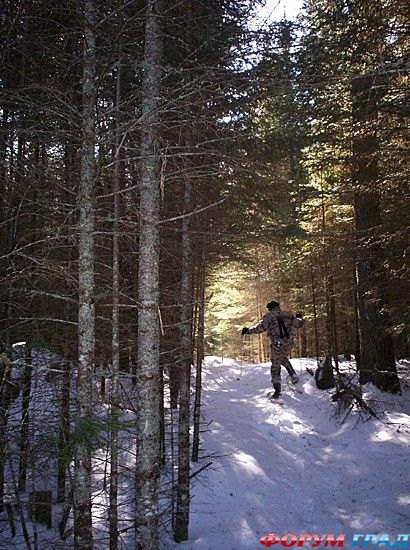 куда поехать отдыхать