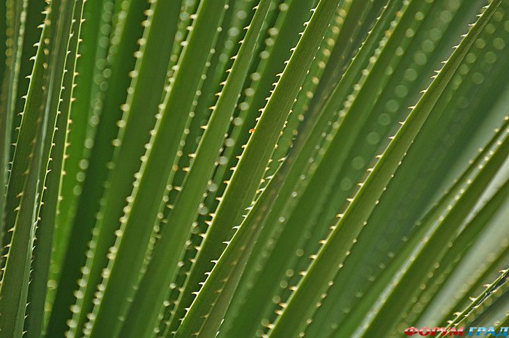 куда поехать отдыхать