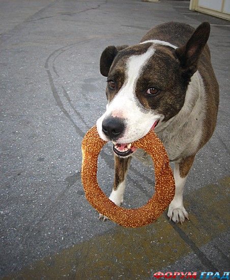 куда поехать отдыхать