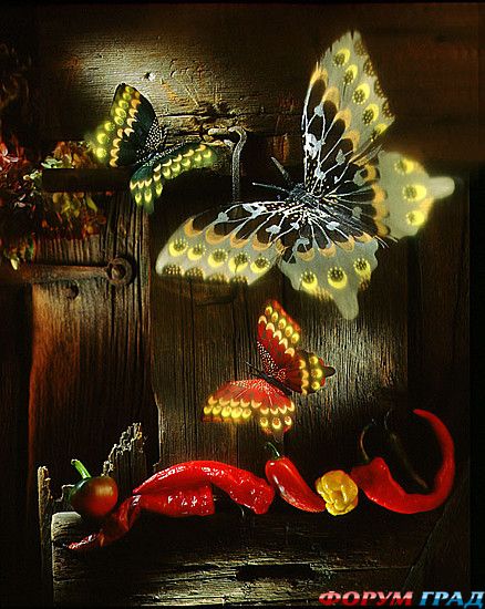 куда поехать отдыхать