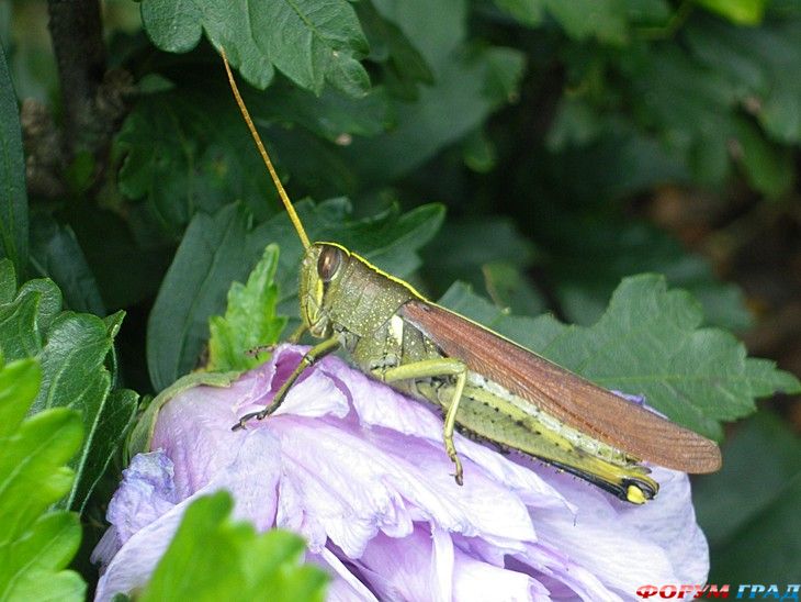 куда поехать отдыхать