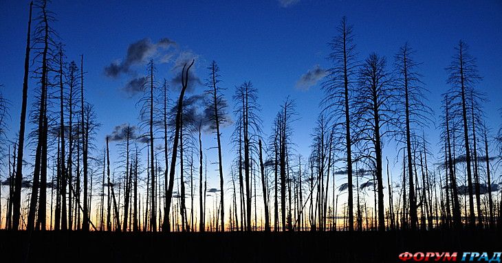 куда поехать отдыхать