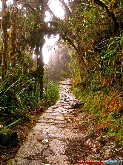 куда поехать отдыхать