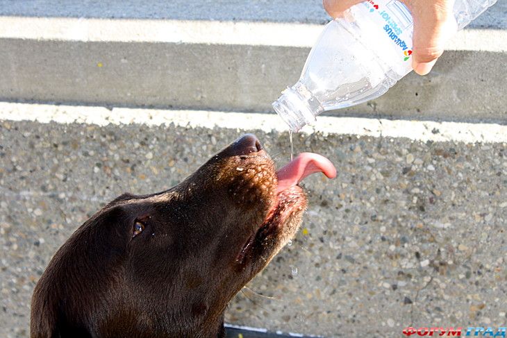 куда поехать отдыхать