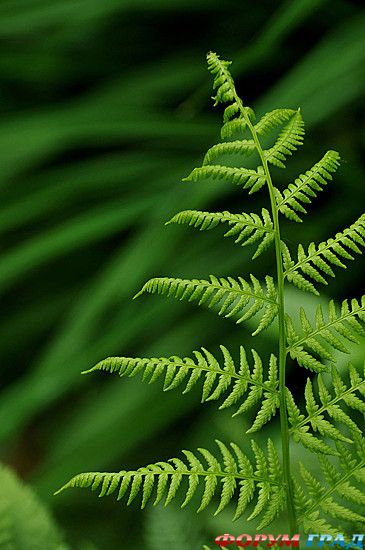 куда поехать отдыхать