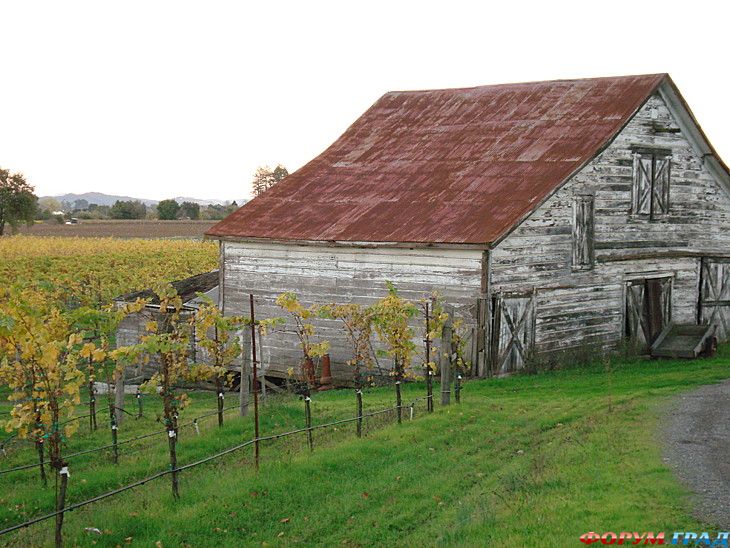 куда поехать отдыхать