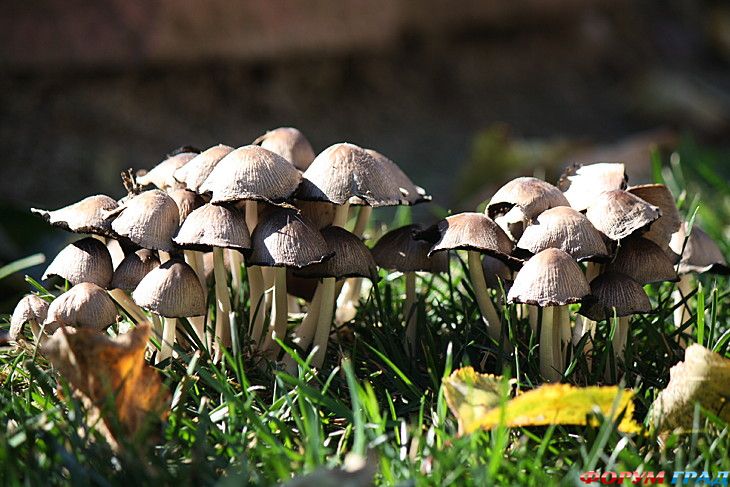 куда поехать отдыхать