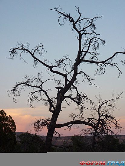 куда поехать отдыхать