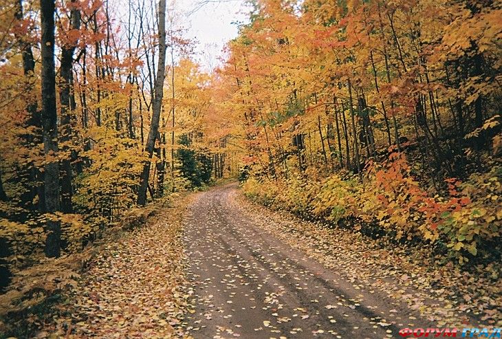 куда поехать отдыхать