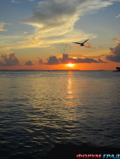 куда поехать отдыхать