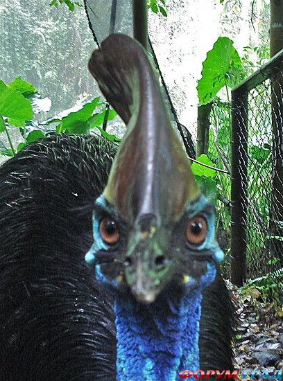 куда поехать отдыхать