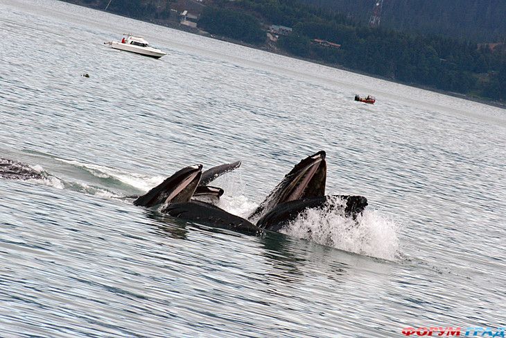 куда поехать отдыхать