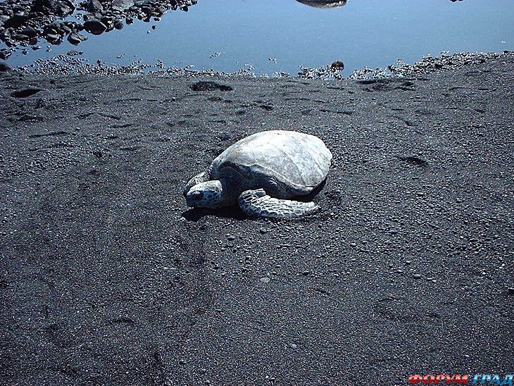 куда поехать отдыхать