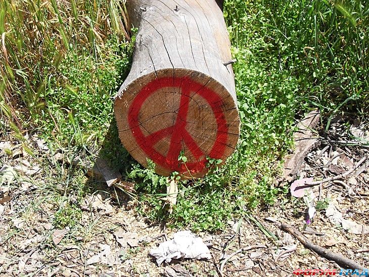 куда поехать отдыхать