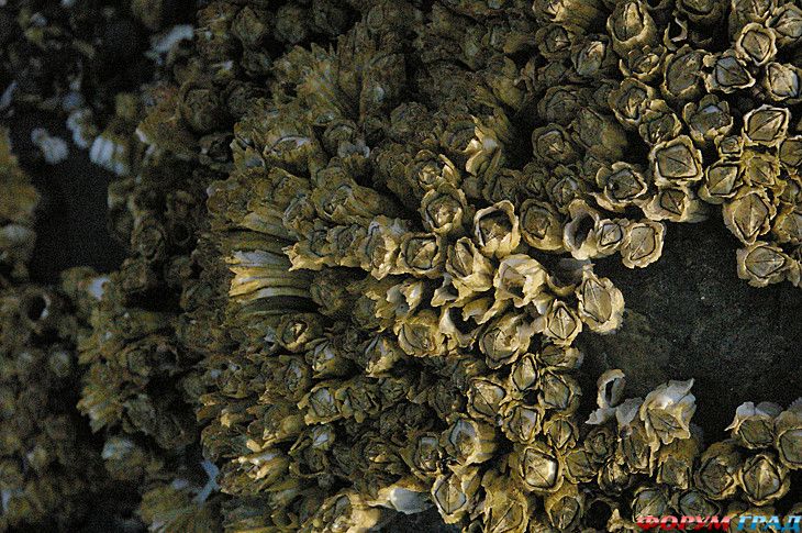 куда поехать отдыхать