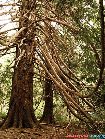 куда поехать отдыхать