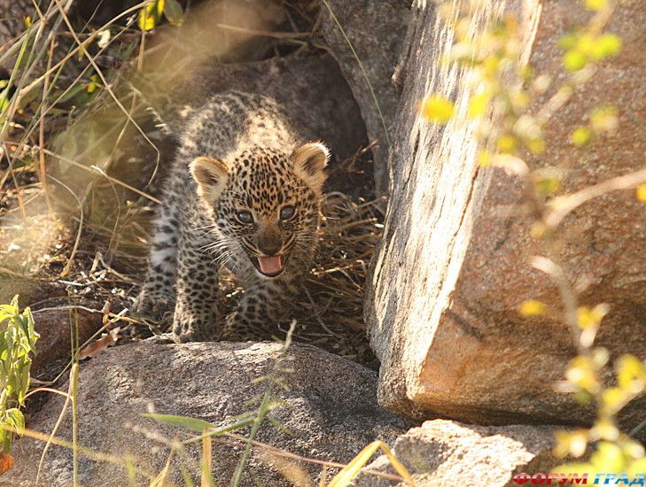 куда поехать отдыхать