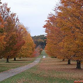 куда поехать отдыхать