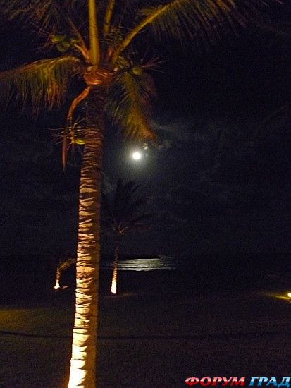 куда поехать отдыхать