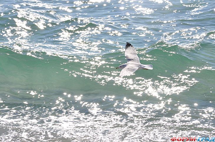 куда поехать отдыхать