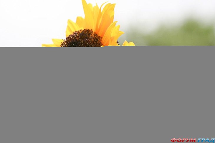 куда поехать отдыхать