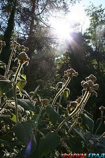 куда поехать отдыхать