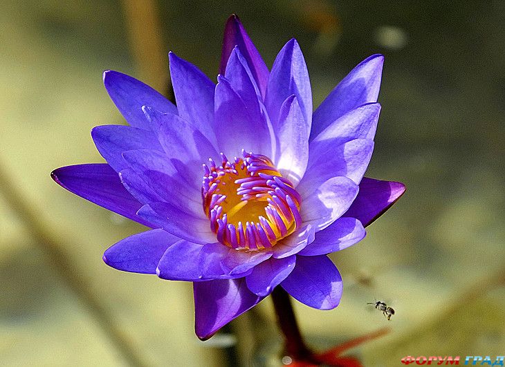 куда поехать отдыхать