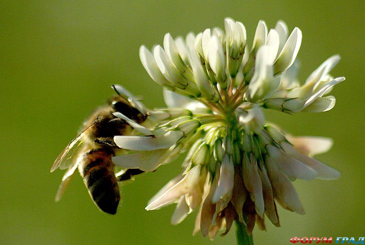 куда поехать отдыхать