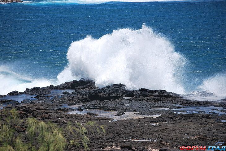 куда поехать отдыхать