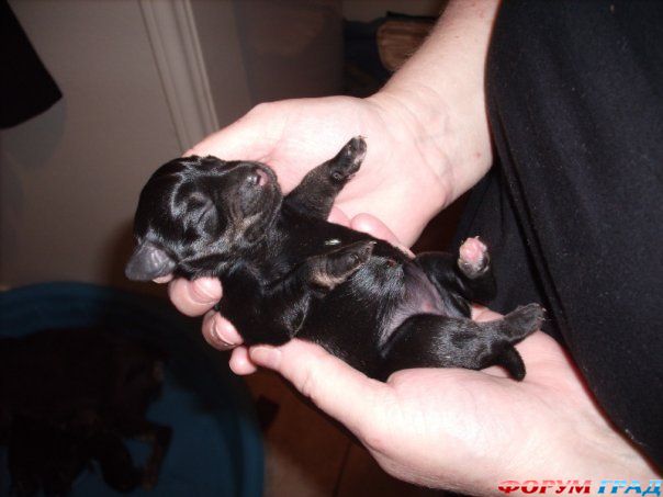 куда поехать отдыхать