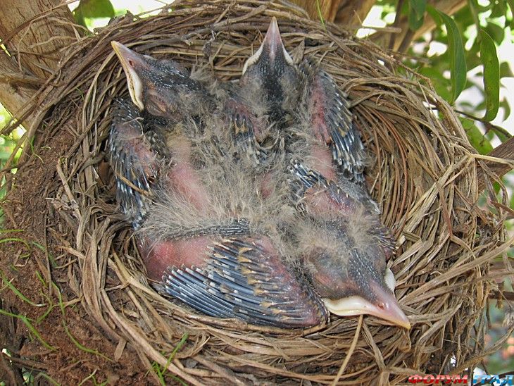 куда поехать отдыхать