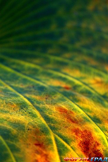 куда поехать отдыхать