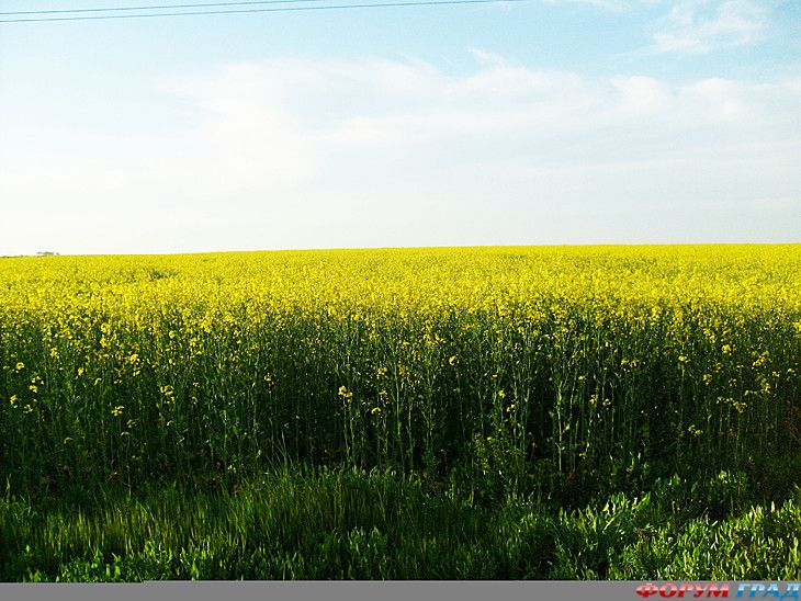 куда поехать отдыхать