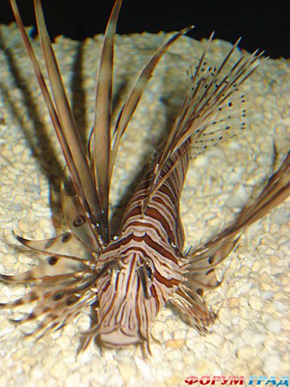 куда поехать отдыхать