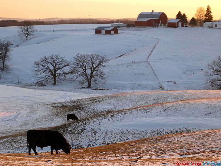 куда поехать отдыхать