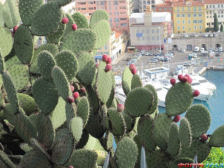 куда поехать отдыхать