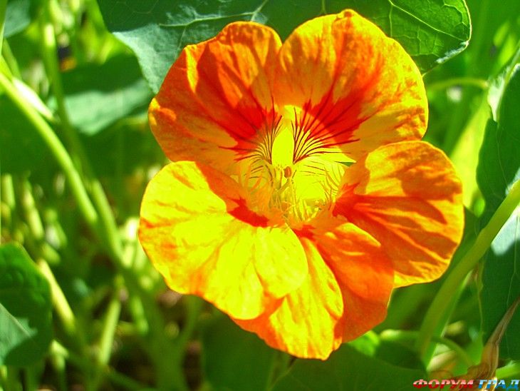 куда поехать отдыхать